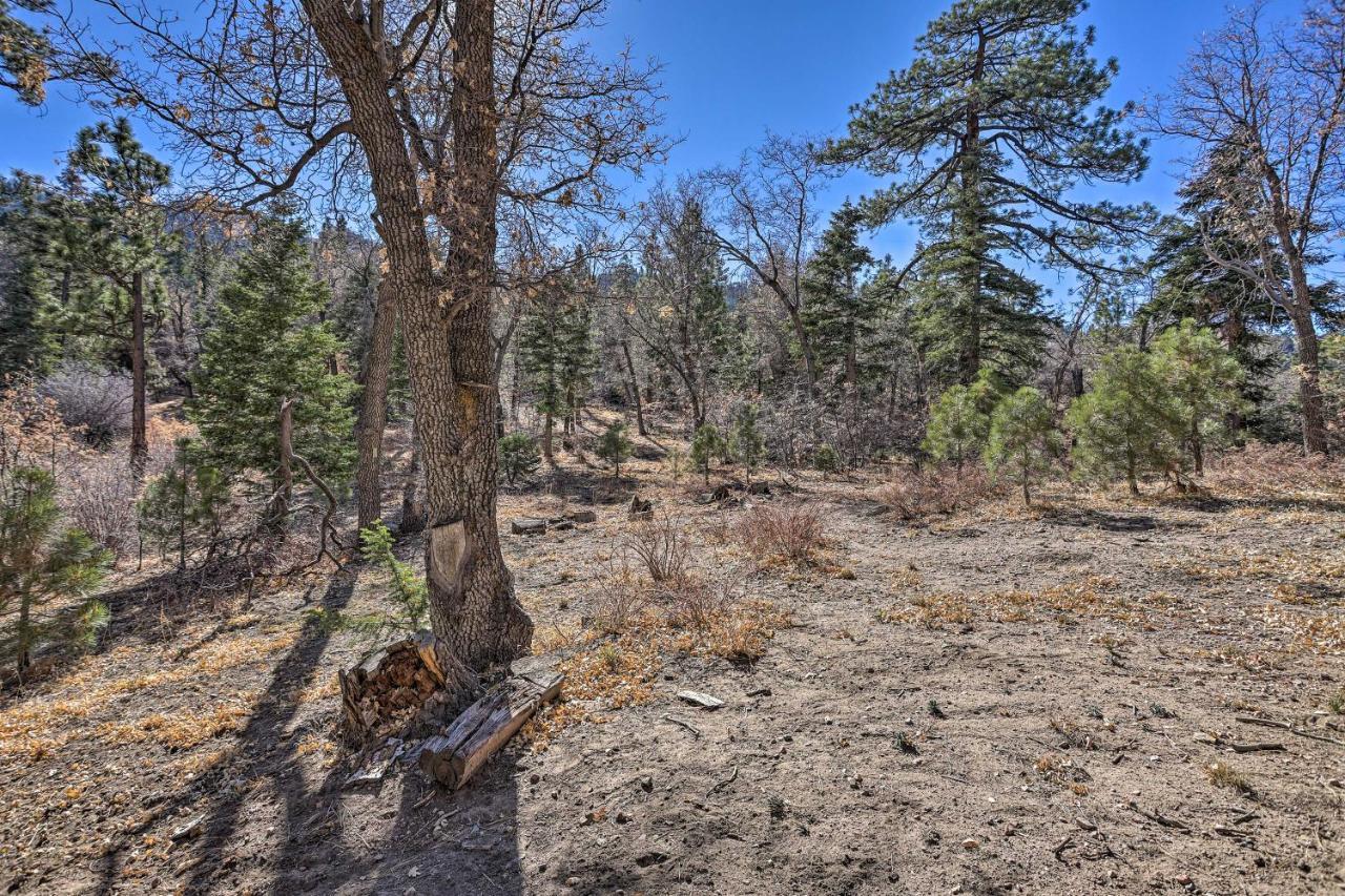 Вілла Chocolate Moose Cabin Short Walk To Slopes Біг-Бер-Лейк Екстер'єр фото